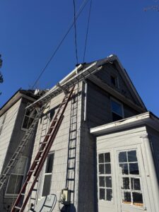 IMG_20250404_091833 (3)