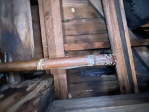 IMG_20250404_091834